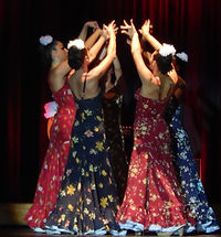 Flamenco-Tänzer