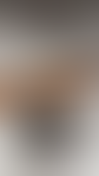 Art sculpture of orange pencils arranged to resemble a bird, displayed on a white shelf against a gray wall. A small plaque is visible.