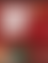 Holiday Crawl poster with red bow, ornaments, gifts, pine branch. Event on December 13, 2025. Meetup: 409 Lewis Ave, 12:00 pm. Festive mood.