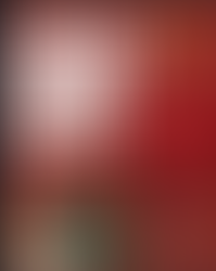 Holiday Crawl poster with red bow, ornaments, gifts, pine branch. Event on December 13, 2025. Meetup: 409 Lewis Ave, 12:00 pm. Festive mood.