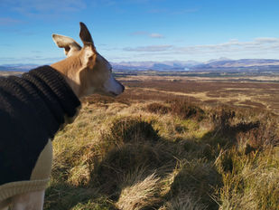 The Whangie & Queen’s View