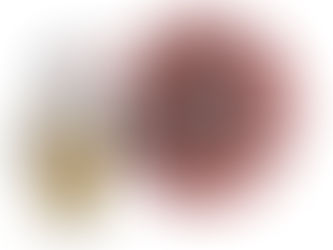 The CDC and FDA finally admit the RT-PCR test has not been looking definitively for SARS-CoV-2