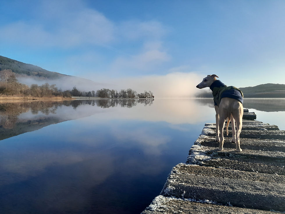 Loch Ard, December 2025