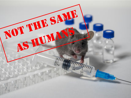 Bivalent jabs are no better than the original concoction