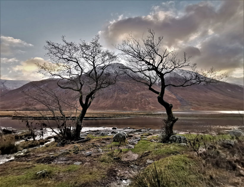 Etive kissing trees.jpg