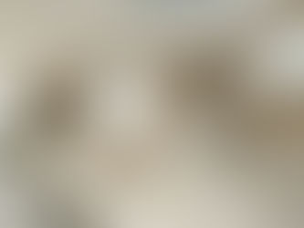 2026: The year of ‘new neutrals’