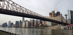 Y. Diogo - Roosevelt Island, USA