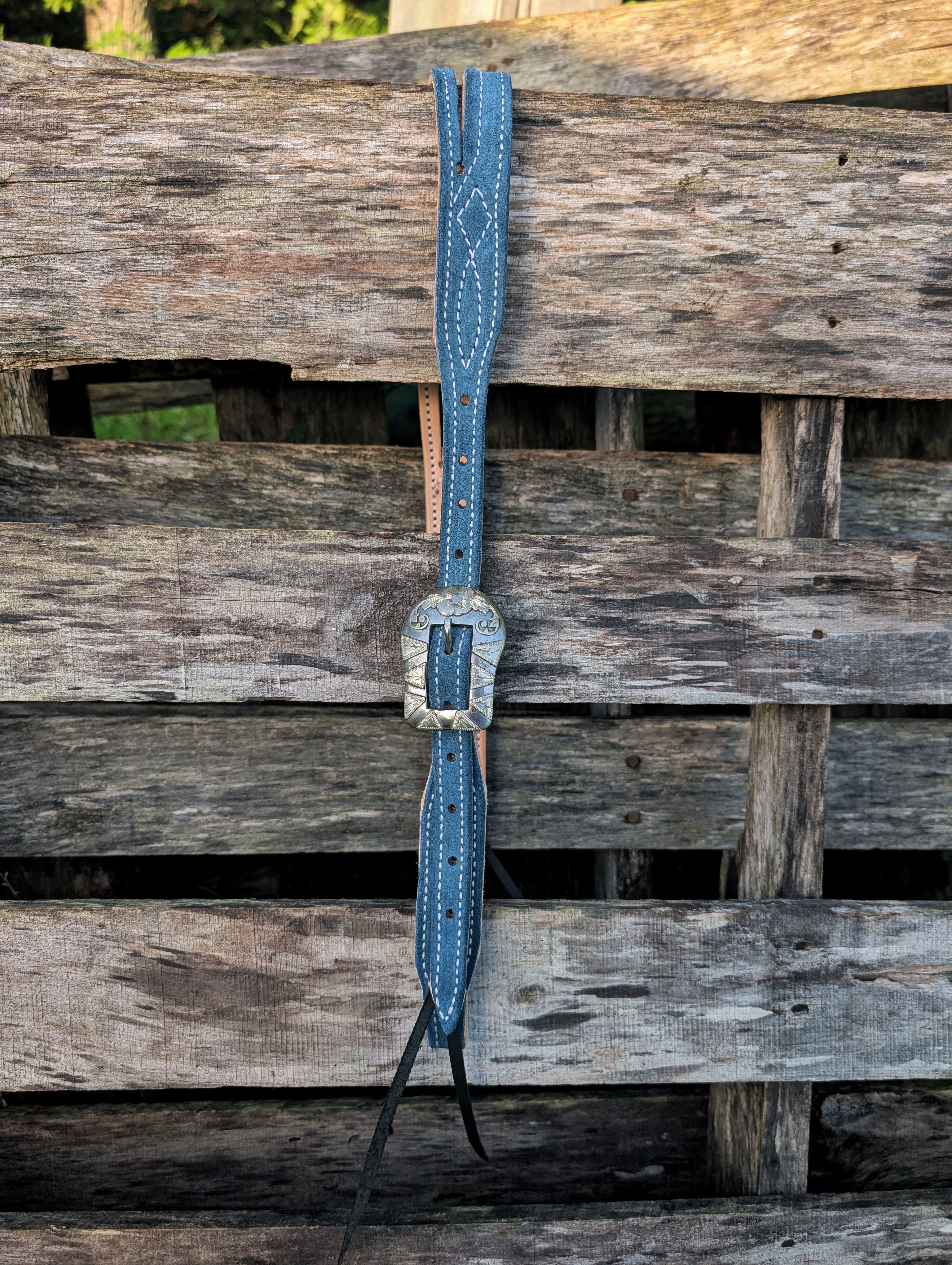 Denim blue split ear w/ Strickler buckle 