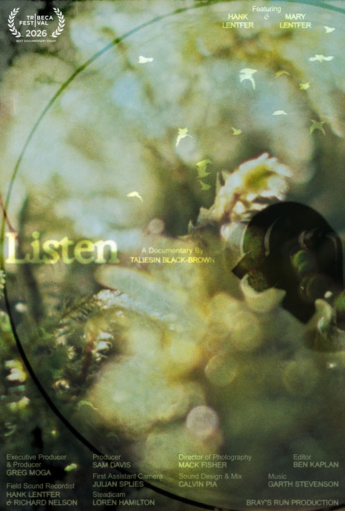Listen, by Taliesin Black-Brown