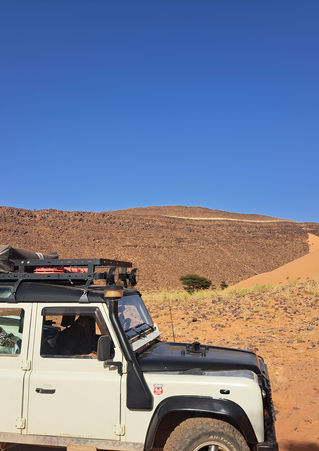 Desert Travel