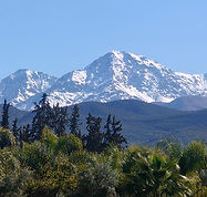 IMG20260221145530_edited.jpg