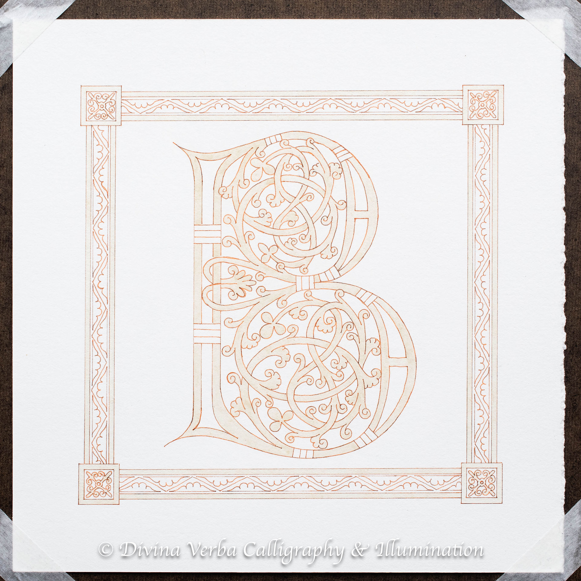 Gum ammoniac laid down for medieval manuscript illumination