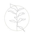 les_plantes_mélou-02.jpg