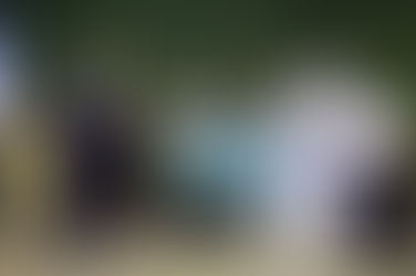 Caiado premia municípios com melhor desempenho em vacinação e lança programa Respira Goiás