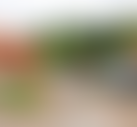 Senador Canedo realiza limpeza em lote usado como depósito irregular de lixo