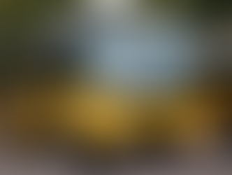 Critérios para solicitar o transporte escolar em Senador Canedo para 2026