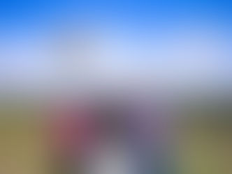 Escola do Futuro de Goiás cria drone para auxiliar no reflorestamento do Cerrado