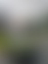 SMT flagra caminhão com carga acima da altura permitida em Senador Canedo