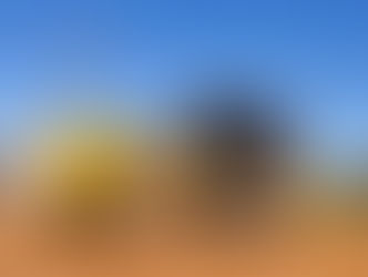 Prefeitura inicia pavimentação asfáltica na Avenida das Orquídeas, Residencial Morumbi