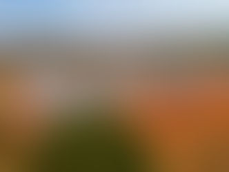 Senador Canedo alerta para seleção do Campo das Flores I e II