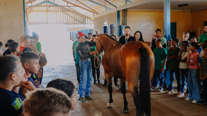 Guardiões Ambientais e Guardas Mirins participam de visita educativa em haras 