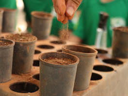 AMMA convida moradores para plantio de árvores no Residencial Flor do Ipê