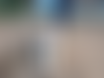 Zoonoses de Senador Canedo resgata pitbull solto na região do Nova Esperança 