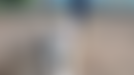 Zoonoses de Senador Canedo resgata pitbull solto na região do Nova Esperança 