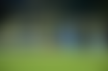 Palmeiras faz mágica para desafiar o "impossível" e vai à final da Libertadores pela sétima vez
