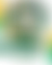 Senador Canedo abre inscrições para o judô