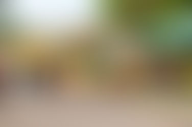 Corrida Beneficente da Pestalozzi une esporte, inclusão e solidariedade em Senador Canedo