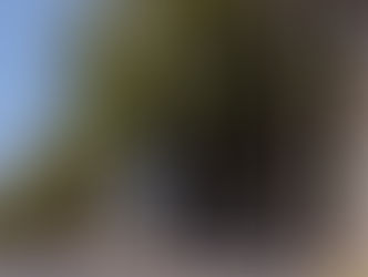 Pellozo vistoria obra de iluminação da Avenida Pedro Miranda