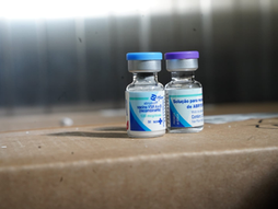 Governo de Goiás amplia campanha de vacinação contra bronquiolite em gestantes