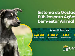 Senador Canedo disputa prêmio estadual com sistema pioneiro de bem-estar animal
