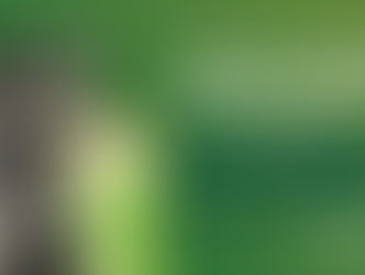 Senador Canedo disputa prêmio estadual com sistema pioneiro de bem-estar animal