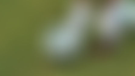 Senador Canedo amplia oferta de esportes com novas turmas em diferentes modalidades