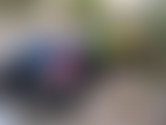 SMT remove veículo com mais de R$ 12 mil em débitos e histórico de infrações