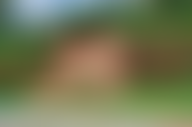 Obra de recuperação provoca interdição parcial na Rua S-3, no Morada do Morro