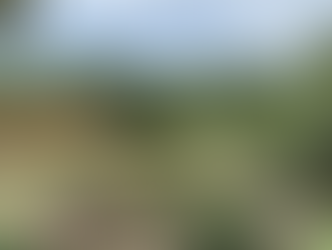 Área antes vulnerável passa a ter margens estabilizadas no Setor Castros