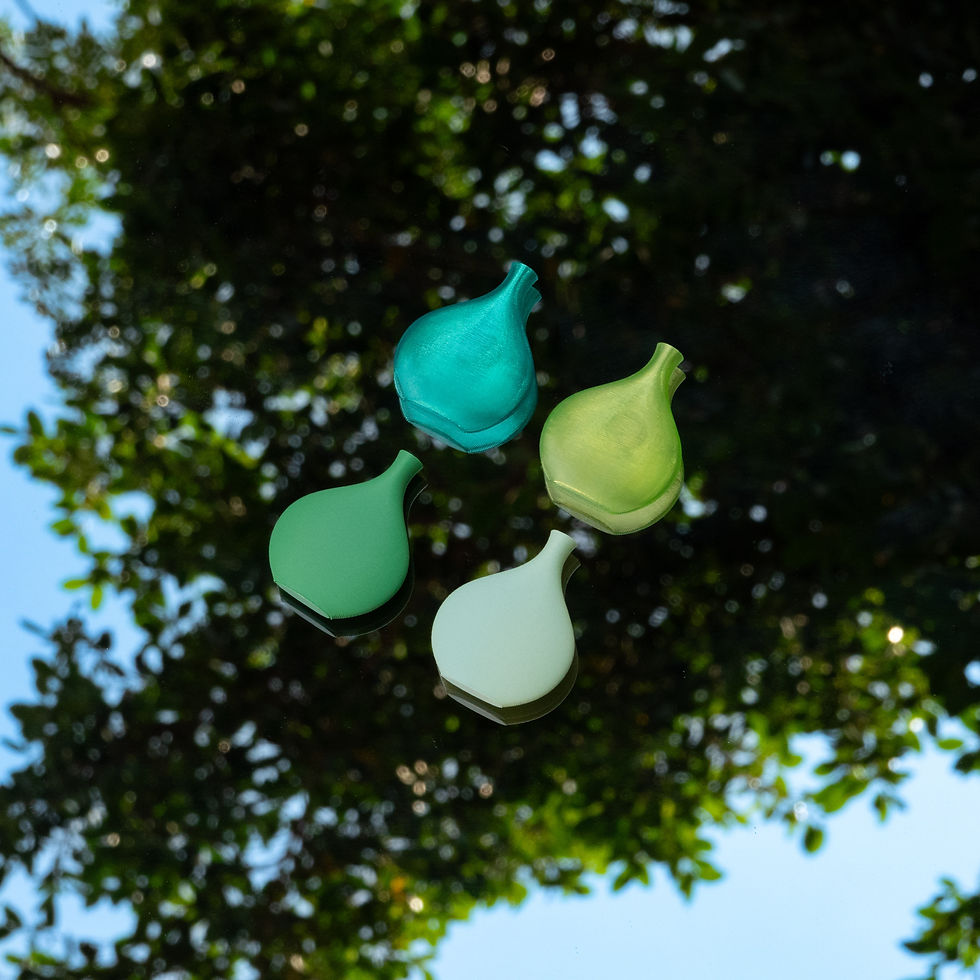 Thumbnail: FOREST magnet set