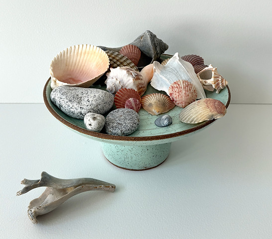 Sea Treasures IMG_6172 copy_edited.jpg