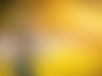 Finding Joy in the Journey: Tips for Embracing the Present Moment