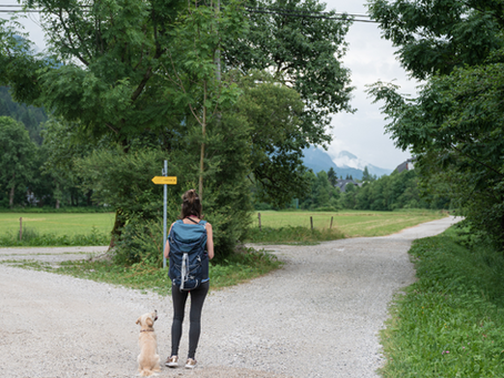 Navigating Life’s Crossroads: Making Decisions with Confidence