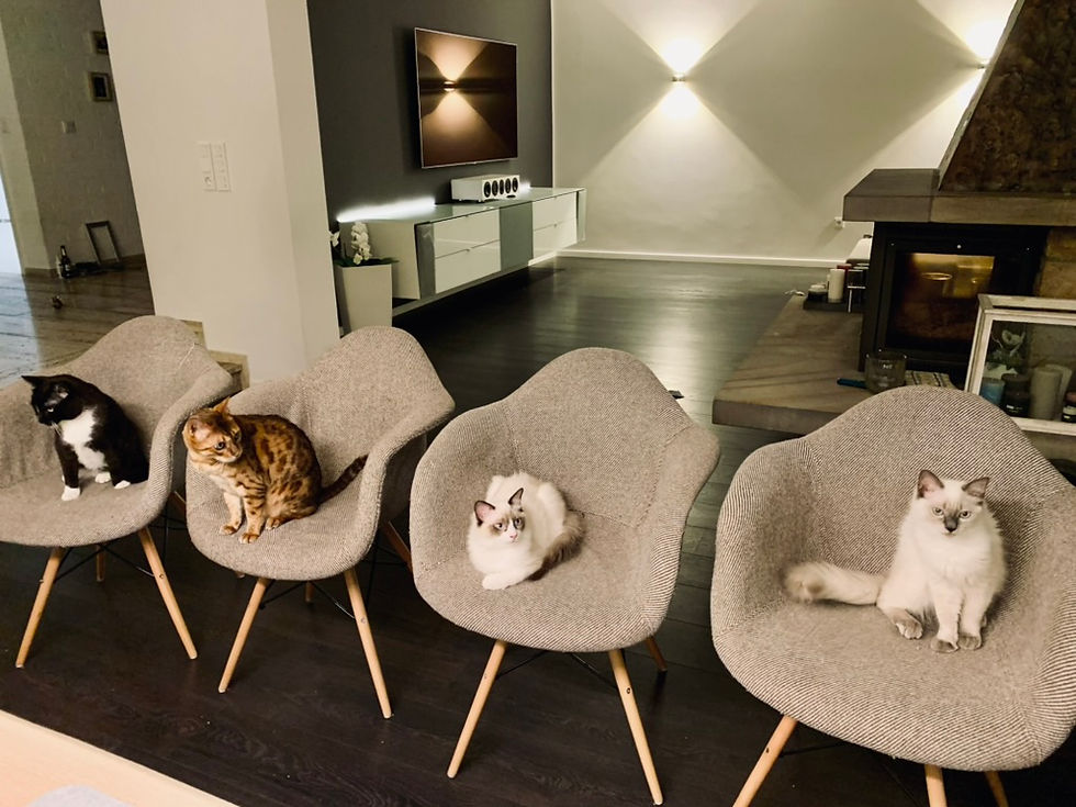 Warteplatz leicht gemacht – Live-Workshop für Einsteiger:innen