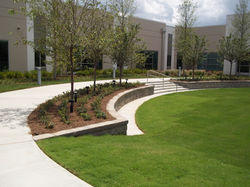 HealthSpring Corporate Office