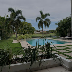 S'expatrier au Panama, c'est fait ✅ 🇵🇦 ✈️ 🐈 🐈⬛