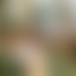 Marrakech Sans gluten Vegan Healthy Food