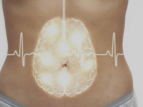 On Est Ce Qu'On Mange : Le Lien Ventre Cerveau
