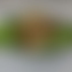 Péri-ménopause et alimentation : voilà à quoi devrait ressembler ton assiette 🥗✨