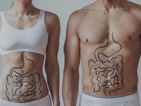 Impact sur notre santé d'un déséquilibre de la flore intestinale